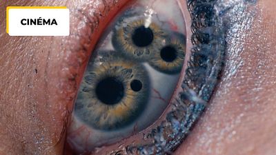 image de la news The Substance : on a compilé les détournements les plus drôles du film avec Demi Moore