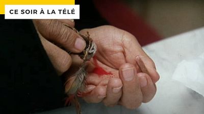 image de la news Ce soir à la télé : vous avez rendez-vous avec François Perrin… mais ce n’est pas Pierre Richard
