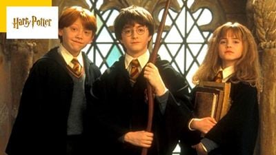Harry Potter la série : les propos controversés de J.K Rowling ? Ce n'est pas une priorité pour HBO