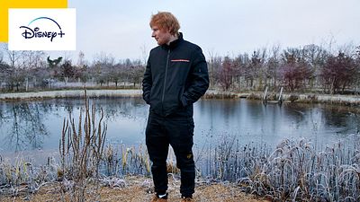 image de la news Cette star a failli arrêter la musique : elle se livre sans concession dans une série docu sur Disney+