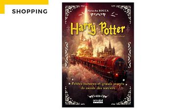 image de la news Harry Potter : le livre "Petites histoires et grands secrets du monde des sorciers" débarque pour vous enchanter !