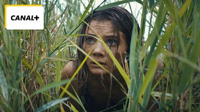 image de la news Ce soir sur Canal+ : on ne l'attendait pas mais le 10ème film de cette franchise culte est à rattraper