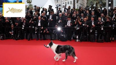 Cannes 2024 : un an après sa Palm Dog, Messi revient en star sur le tapis rouge !