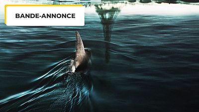 Un requin à Paris ? C’est dans la bande-annonce de Sous la Seine, le prochain film Netflix et on a hâte de le voir !