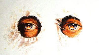 image de la news Ce film récompensé aux Oscars et noté 4,2 vous plonge dans la réalité terrifiante du Ku Klux Klan