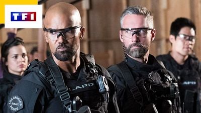 S.W.A.T. : pourquoi TF1 n'enchaîne pas avec la saison 6