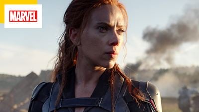 "C'est fini !" : Scarlett Johansson et Gwyneth Paltrow ne travailleront plus pour Marvel