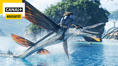 image de la news La suite d’Avatar, un chef-d’œuvre de SF en série, le remake d’une comédie culte… En juin, sur CANAL+