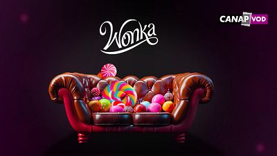 image de la news Wonka, la suite des Trois Mousquetaires, la saga S.O.S Fantômes… : où voir les derniers succès ciné depuis votre canapé ?