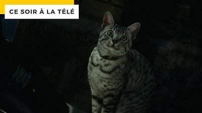 image de la news Ce soir à la télé : avec une note de 1,3 sur 5, c’est l’un des pires films des années 2000