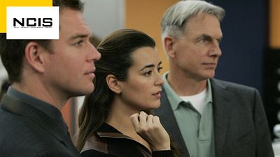 image de la news "Nous pensions que c'était la fin de la série" : ce départ a fait très peur aux créateurs de NCIS