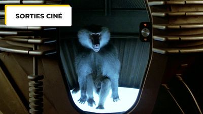 image de la news Ces deux films mythiques du cinéma ont influencé Wolf Man, et voici comment !