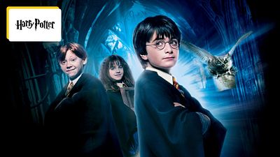 image de la news Harry Potter : les nouveaux interprètes d’Harry, Ron et Hermione seront bientôt dévoilés !