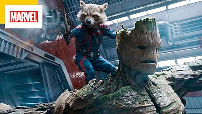 image de la news "Qui veut voir un film sur un arbre qui parle et un raton laveur ?" Cette actrice a refusé Les Gardiens de la Galaxie