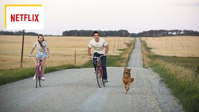 image de la news Noté 4,1 sur 5, ce film quitte bientôt Netflix : retour sur une polémique inattendue et injuste
