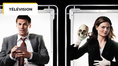 image de la news 12 saisons et 246 épisodes : cette série culte pourrait-elle revenir 7 ans après ?