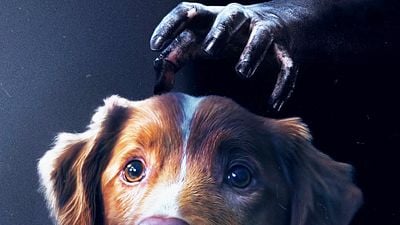 image de la news Good Boy : ce thriller horrifique qui fait beaucoup parler sortira un week-end en France !