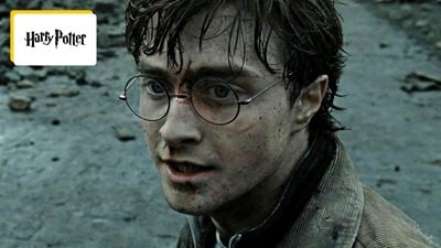Harry Potter : les derniers films sont complètement passés à côté de cet élément crucial
