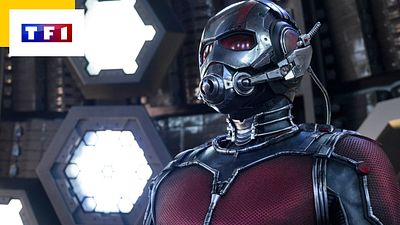 image de la news Ant-Man sur TF1 : regardez-le, et vous guérirez peut-être de cette phobie !