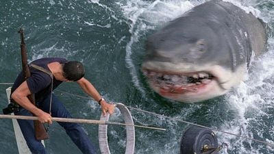 image de la news Les Dents de la mer : voici l'étrange destin d'un accessoire mythique du chef-d'œuvre de Spielberg !