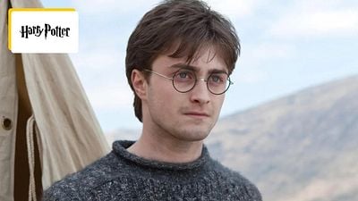 image de la news Harry Potter la série : c'est la question que tout le monde se pose... On a la réponse !