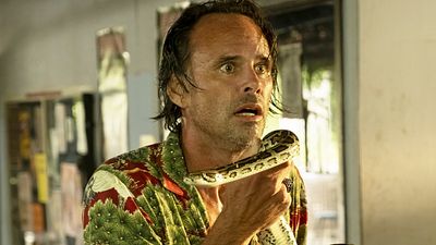image de la news "Je suis un mec cool... mais pas ce jour-là !" : cette scène de The White Lotus avec des serpents a pris une drôle de tournure pour Walton Goggins