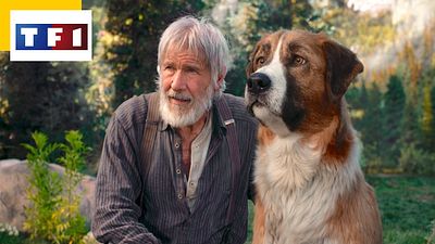 image de la news L'Appel de la forêt sur TF1 : pourquoi le chien est-il en CGI ?
