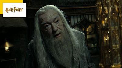 image de la news Harry Potter : vous ne devinerez jamais à quoi fait référence le nom de Dumbledore