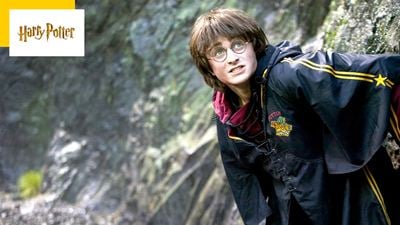 Harry Potter : "Je ne serai plus jamais autorisé à refaire quelque chose comme ça", Daniel Radcliffe raconte sa cascade la plus folle