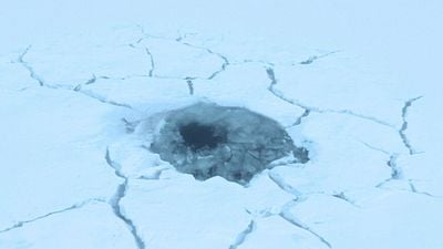 image de la news Notée 4,4 sur 5, cette série contient l&#039;une des scènes d’ouverture les plus inventives de toute l’histoire de la télévision !