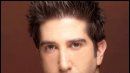 image de la news "Little Britain" : Ross Geller aux manettes !