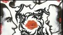 image de la news Une série au son de Red Hot Chili Peppers