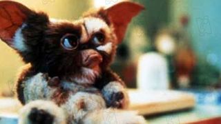 image de la news Un nouveau "Gremlins" en 3D ?