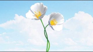 image de la news Audiences : "L'Amour est dans le pré"... et en tête !