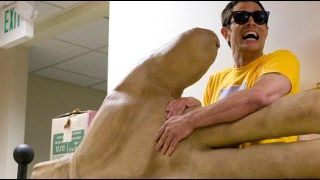 image de la news Les tarés de "Jackass" font mal au box-office US !