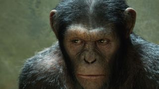 image de la news "La Planète des singes : les origines" : la bande-annonce ! [vidéo]