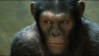 Box-office US : les singes doublent la mise !