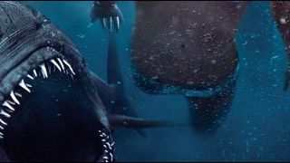 image de la news Quiz Ciné - Les requins sur grand écran