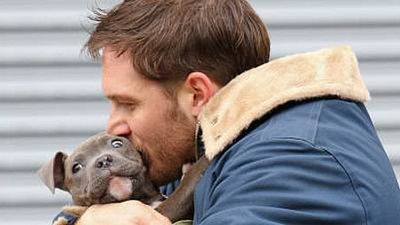 image de la news Tom Hardy et un chiot sur le tournage d'"Animal Rescue" ! [PHOTOS]