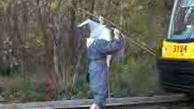 image de la news Gandalf barre la route des trains ! 