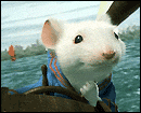 image de la news Bande-annonce : "Stuart Little 2"