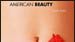 image de la news American Beauty Razzia