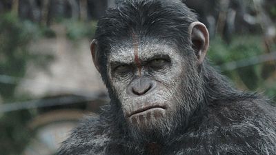 image de la news La Planète des singes : un teaser avant la bande-annonce de L'Affrontement