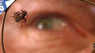 image de la news Ces petites bêtes vont leur faire péter des câbles... [TOP 5]