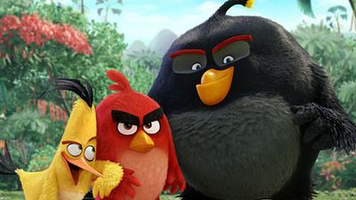 image de la news Angry Bird, Chronic, Les Cowboys... Les bandes-annonces ciné à ne pas rater !