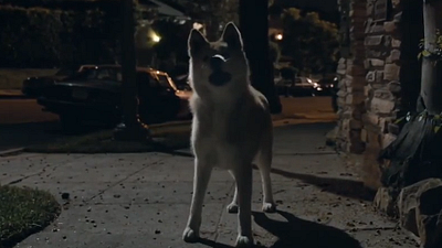 image de la news American Crime Story : un teaser mystérieux pour la nouvelle série de Ryan Murphy