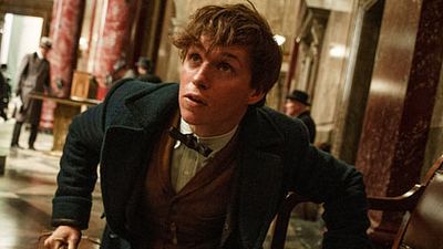 image de la news Les Animaux Fantastiques, le nouveau Star Trek... Les bandes-annonces ciné à ne pas rater !