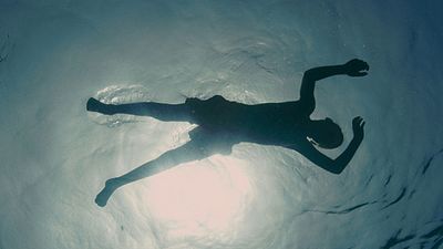 image de la news Gérardmer 2016 - jour 4 : le cinéma fantastique français à l'honneur avec Evolution