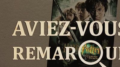 image de la news Aviez-vous remarqué ? Les petits détails cachés de Harry Potter et la Chambre des Secrets
