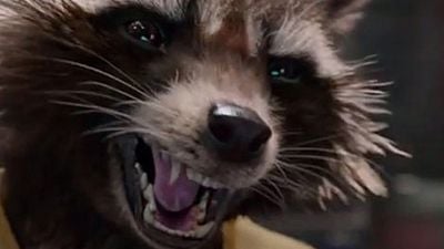image de la news Avengers Infinity War: après Star Lord, Rocket Raccoon également de la partie ?